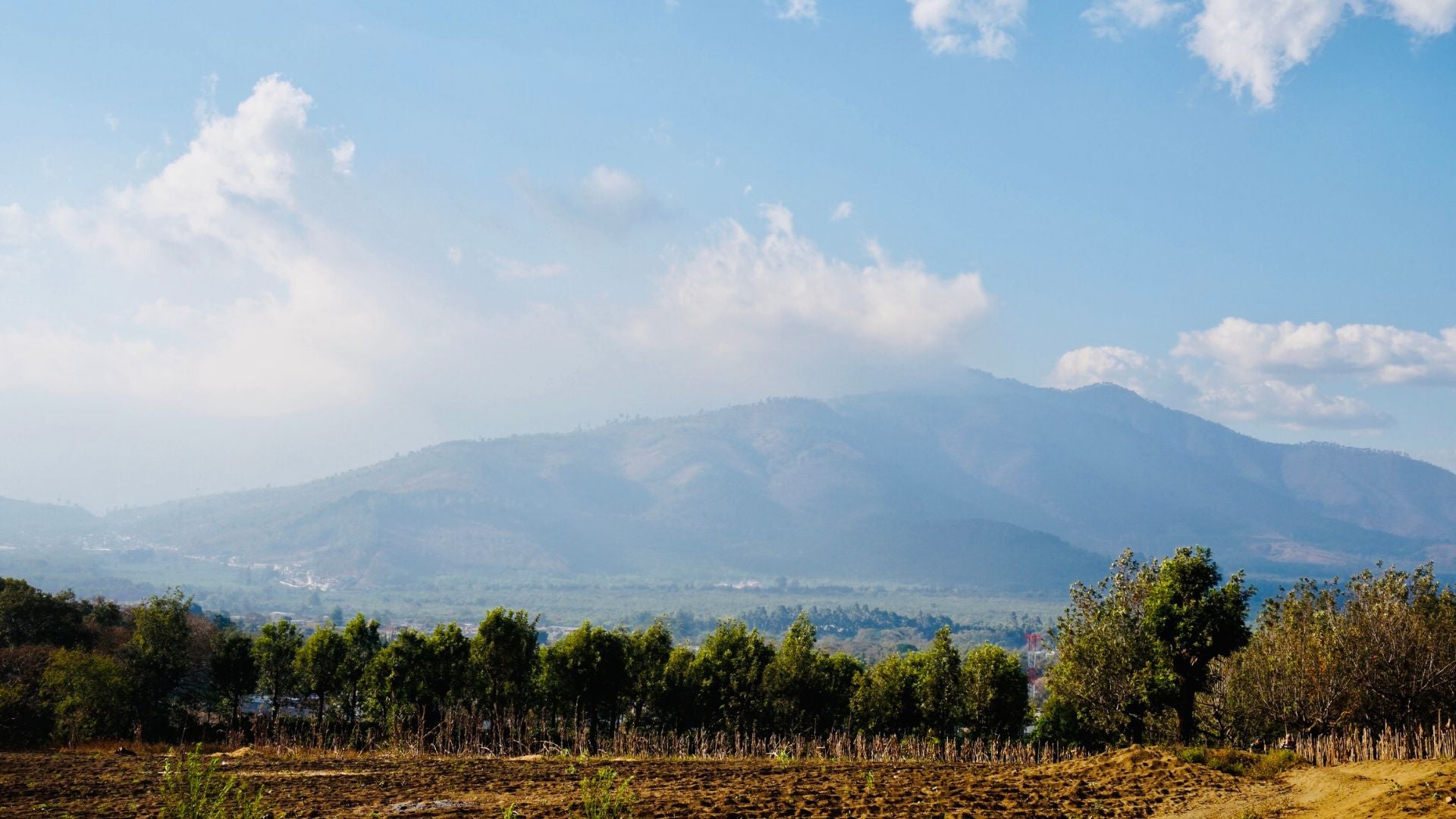 Scenic view of mountains with trees and a clear sky