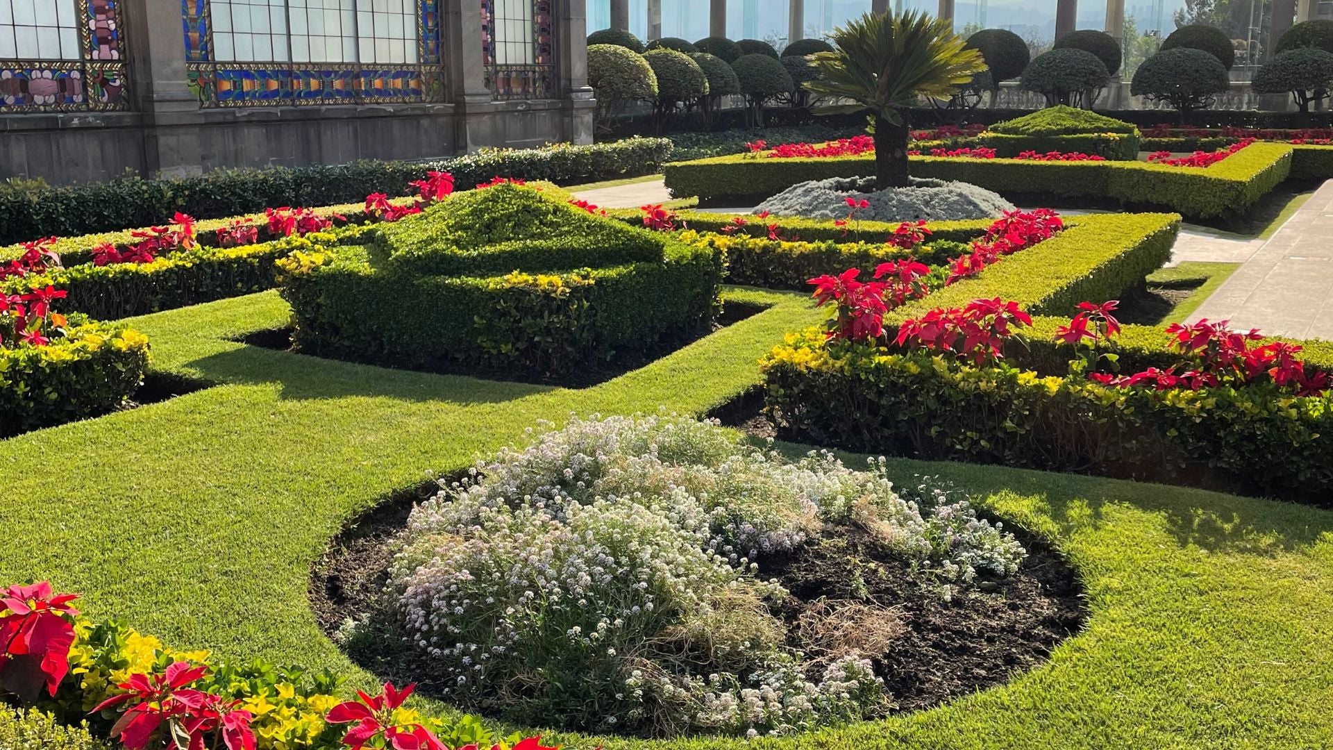 Well-maintained garden with geometric flower beds and a building in the background in Mexico City.